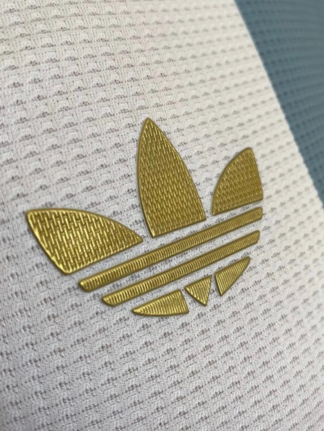 Camiseta Aniversario 50 Años Selección Argentina – ¡Con Ojotas de Regalo!